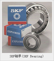 SKF�S��(SKF Bearing)